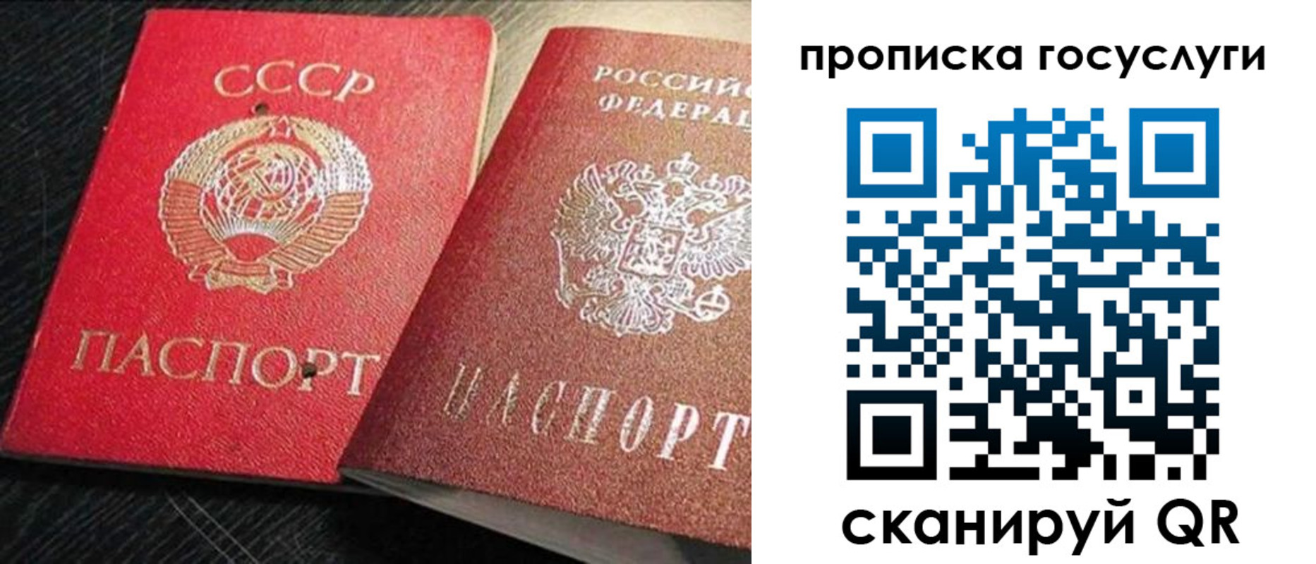 прописка гарантия в Барнауле
